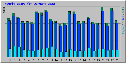 Hourly usage for January 2022