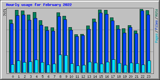 Hourly usage for February 2022