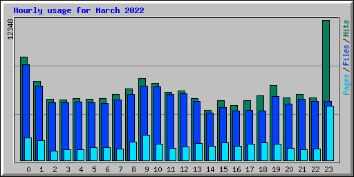 Hourly usage for March 2022