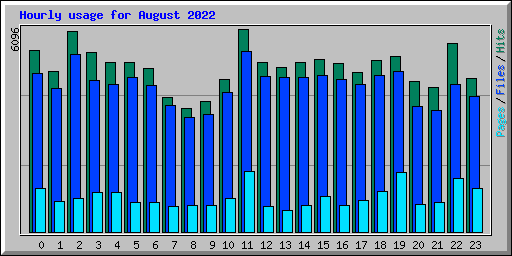 Hourly usage for August 2022