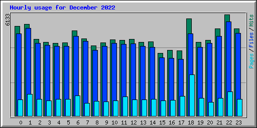 Hourly usage for December 2022