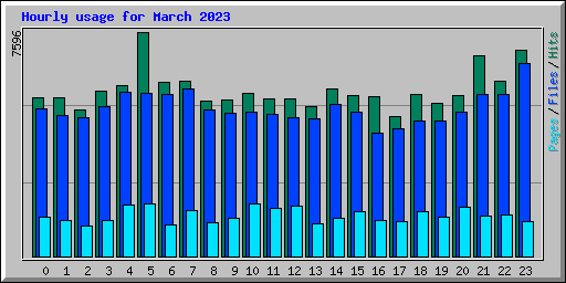 Hourly usage for March 2023