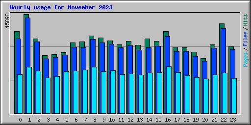 Hourly usage for November 2023