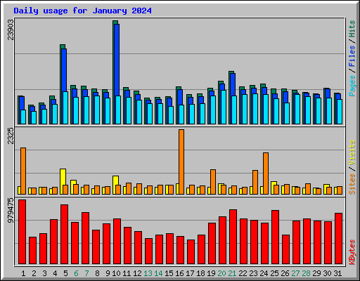 Daily usage for January 2024