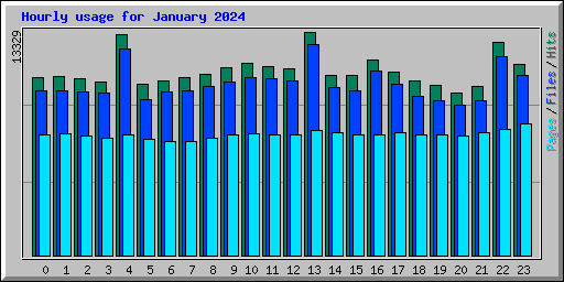 Hourly usage for January 2024