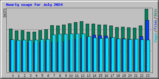 Hourly usage for July 2024