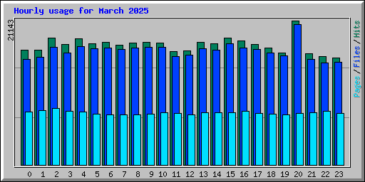 Hourly usage for March 2025