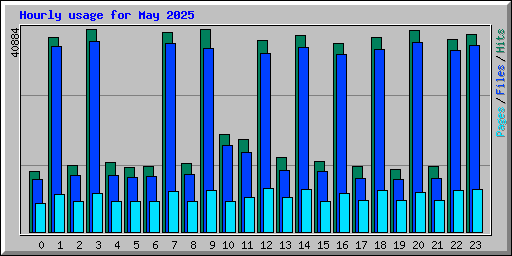Hourly usage for May 2025