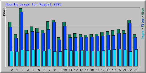 Hourly usage for August 2025