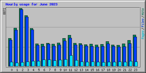 Hourly usage for June 2023