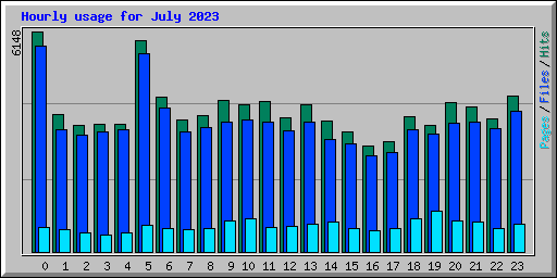 Hourly usage for July 2023