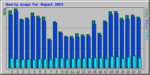 Hourly usage for August 2023