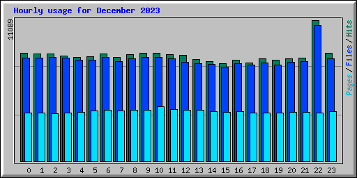 Hourly usage for December 2023