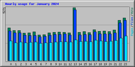 Hourly usage for January 2024