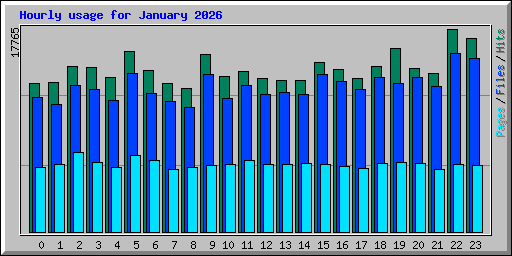 Hourly usage for January 2026