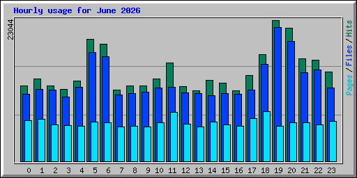 Hourly usage for June 2026