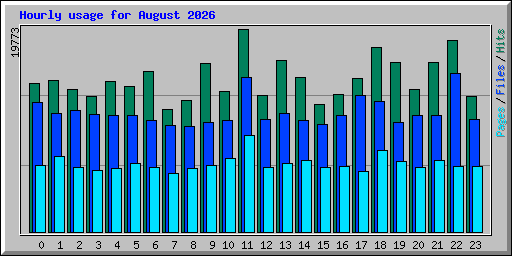 Hourly usage for August 2026